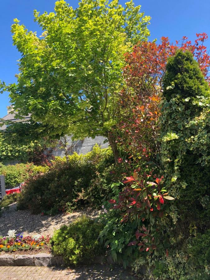 Amber Hill Bed & Breakfast Galway Ngoại thất bức ảnh