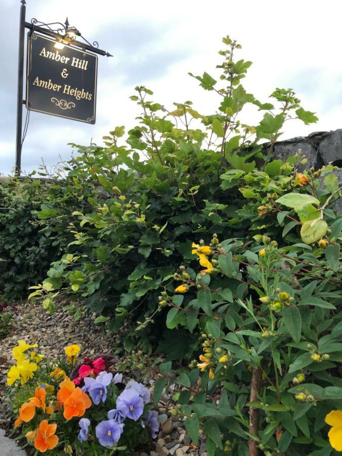 Amber Hill Bed & Breakfast Galway Ngoại thất bức ảnh